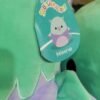 FB_IMG_1761471944697 SQUISHMALLOWS PALLET