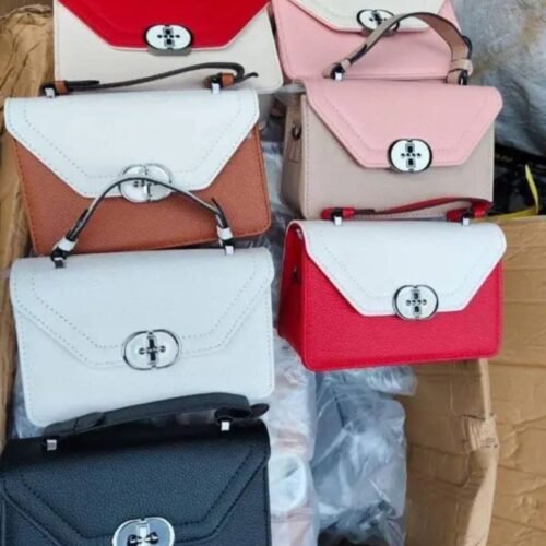 FB_IMG_1770112735860 Females Handbags